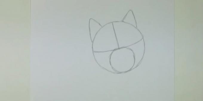 Disegnare un cerchio e segnare le orecchie più piccole