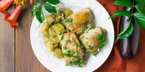 10 ricette sono incredibilmente delizioso pollo in umido