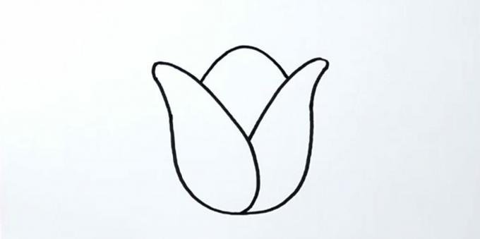 Come disegnare un tulipano: delinea il petalo centrale