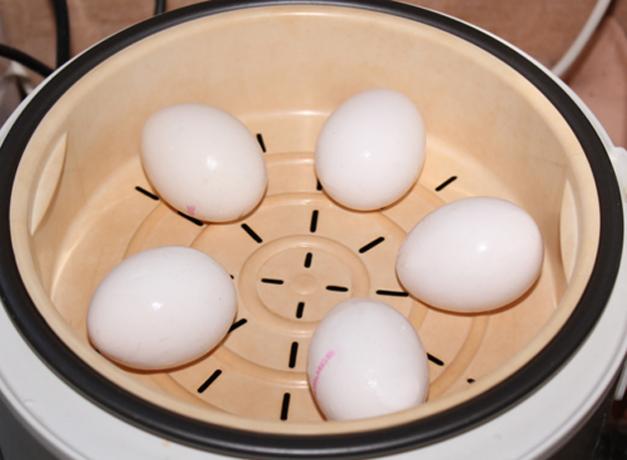 Come cucinare le uova in una doppia caldaia o multivarka