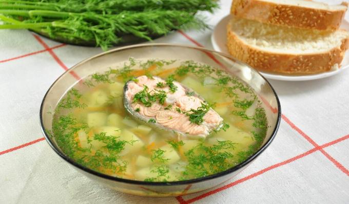 Zuppa di trota con miglio