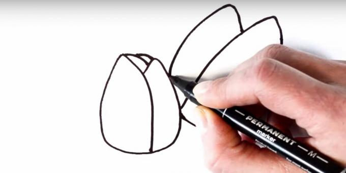 Come disegnare un tulipano: aggiungi il petalo sinistro