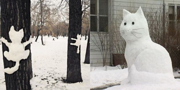 cifra neve: Gatto