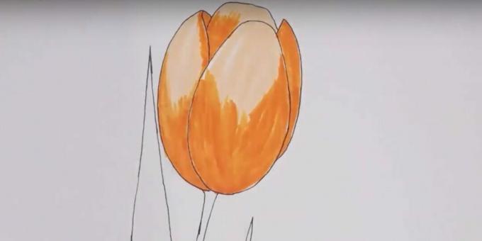 Come disegnare un tulipano: dipingi il bocciolo di arancione