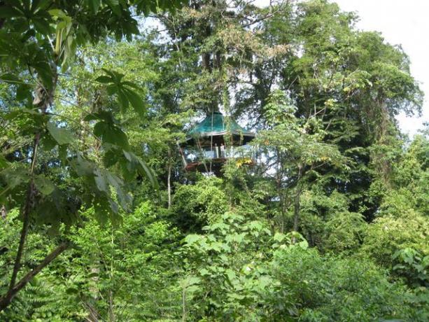Tree house, dove si può visitare