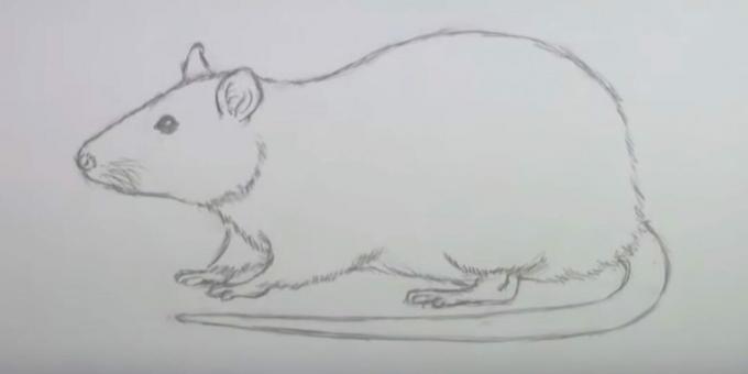 Come disegnare un mouse: cancella gli schizzi