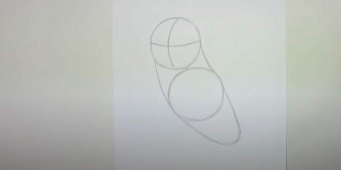 Come disegnare un gufo: delinea il corpo, il petto e il collo