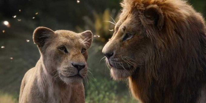 "Il Re Leone": Nala e Simba