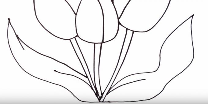 Come disegnare un tulipano: raffigura la foglia sinistra