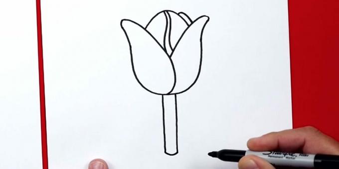 Come disegnare un tulipano: aggiungi uno stelo