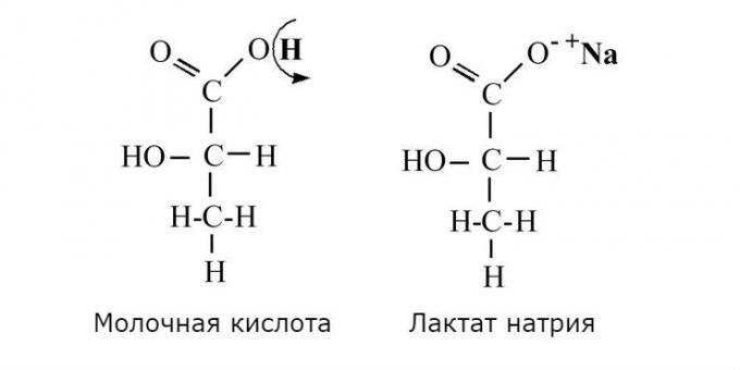 acido lattico e lattato