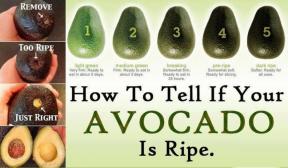 Come scegliere un avocado