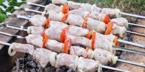 8 modi per marinare la carne per un shish kebab