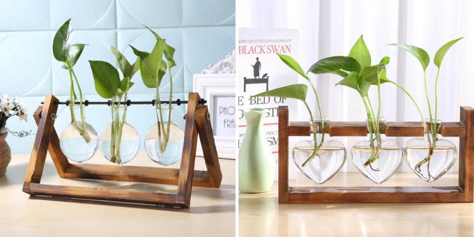Vasi per piante in miniatura