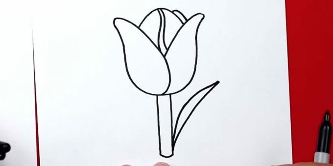 Come disegnare un tulipano: inizia a disegnare la foglia giusta