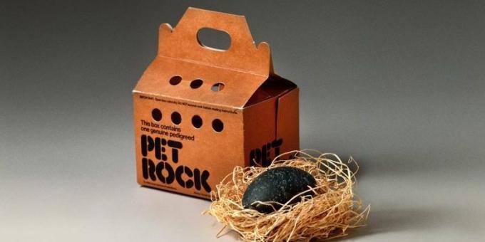 Idee di business: Pet Rocks