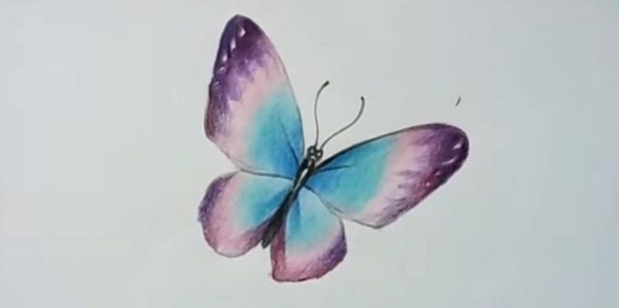 Aggiungere ali di farfalla viola colori più saturi