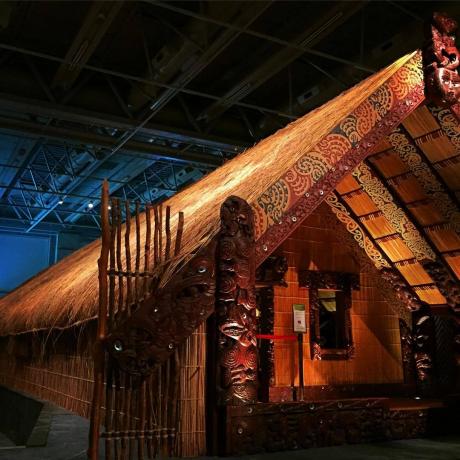 Museo della Nuova Zelanda (Te Papa Tongarewa)