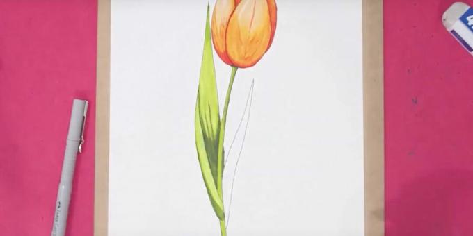 Come disegnare un tulipano: finisci la foglia sinistra