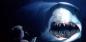 10 film sugli squali che ti delizieranno o ti spaventeranno