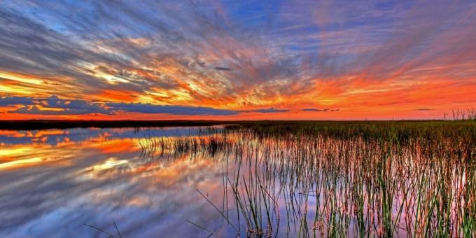 Everglades National Park, Stati Uniti d'America