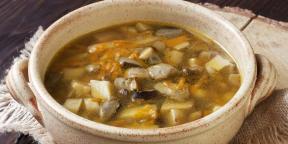 10 deliziose zuppe dal fresco e funghi porcini secchi