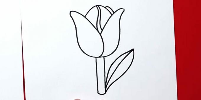 Come disegnare un tulipano: finisci la foglia giusta