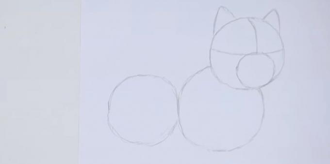 Disegnare le orecchie e disegnare due cerchi sotto la testa