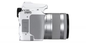 Canon ha introdotto l'EOS 250D - una reflex molto compatta e leggera
