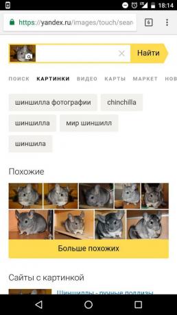 "Yandex": determinazione dell