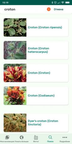 Identificare i tipi di piante d'appartamento che utilizzano PlantSnap