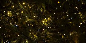 6 tradizioni di Natale che sono venuti a noi dal paganesimo