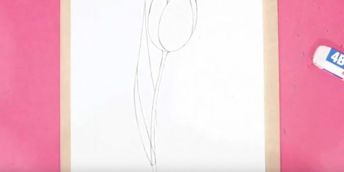 Come disegnare un tulipano: disegna il gambo e la foglia sinistra