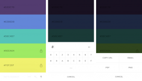Coolors - il modo più semplice per scegliere la tavolozza dei colori perfetta