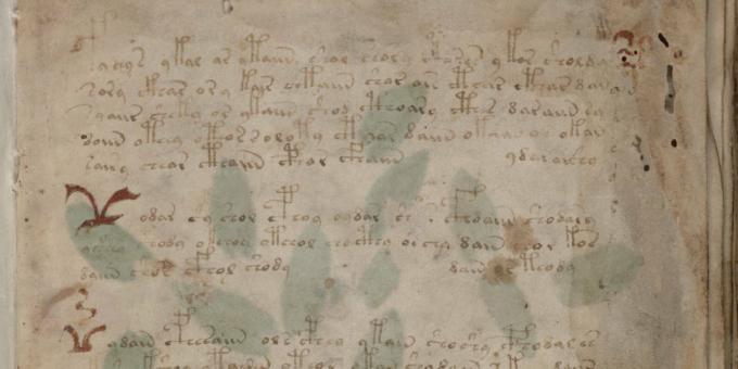 I misteri della storia: il manoscritto Voynich