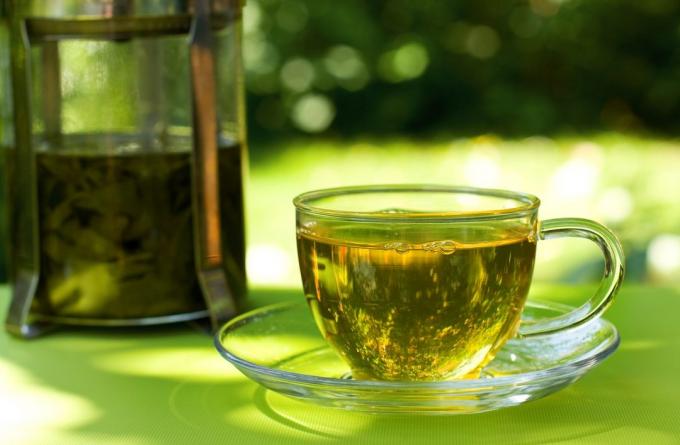 Le abitudini che vi aiuteranno a perdere peso: bere il tè verde
