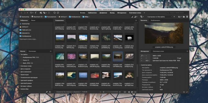 Come organizzare una raccolta di foto: Adobe Bridge