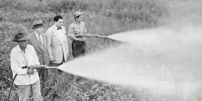 Sostanze chimiche: DDT ha avuto grande popolarità