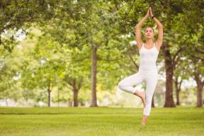 Equilibrio Fisica nello yoga. Parte 1: Allineamento