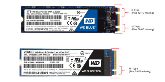 Che cosa è meglio SSD: SSD M.2 tasto c B + M (superiore) e SSD M.2 con il tasto M (in basso)