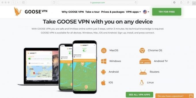 Come si usa Netflix in Russia: applicazione Set Goose VPN dal download e accenderlo
