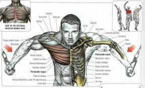 11 modi per fare l'allenamento della forza meno pericoloso per le articolazioni