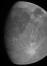 La sonda Juno ha ricevuto la prima foto di Ganimede