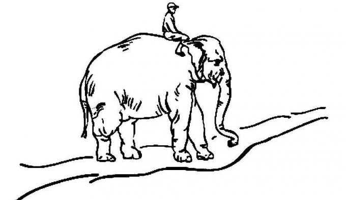 buone abitudini: l'elefante, il pilota e la strada