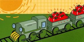 Come scegliere il concentrato di pomodoro, in modo da non rovinare la minestra