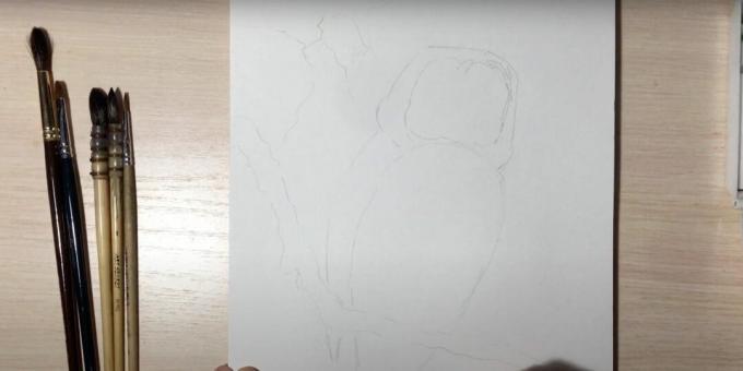 Come disegnare un gufo: delinea il ramo e il corpo di un gufo