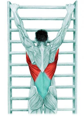Anatomia di stretching: allungamento a trazione spinale
