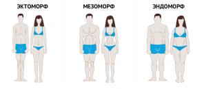 Bone ampia: l'esercizio fisico e dieta per endomorphs