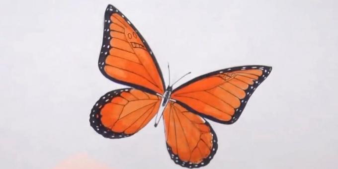 Circle il torso e diversificare modello di farfalla sulle ali