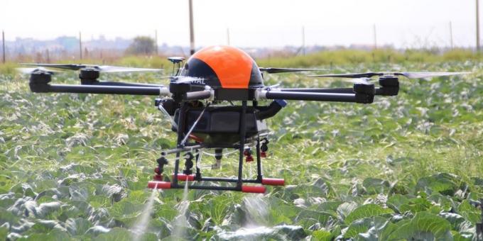 Drone aiuta le piante crescono